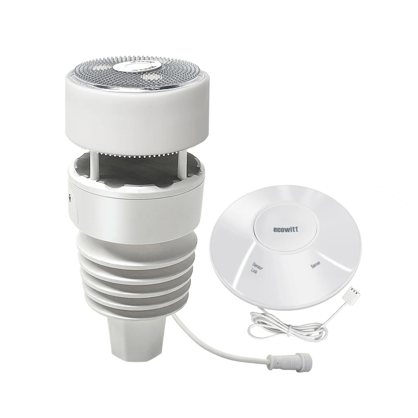 Ecowitt WittBoy GW2001